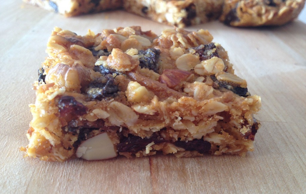 Fruit and Oat Slice