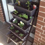 Balcony Gardening: Freestanding Vertical Garden Edition