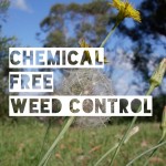 Chemical Free Weed Control