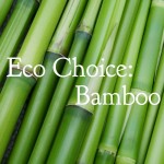 Eco Choice: Bamboo