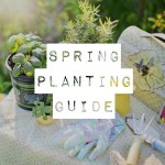 Spring Planting Guide