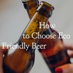 How to Choose Eco Friendly Beer