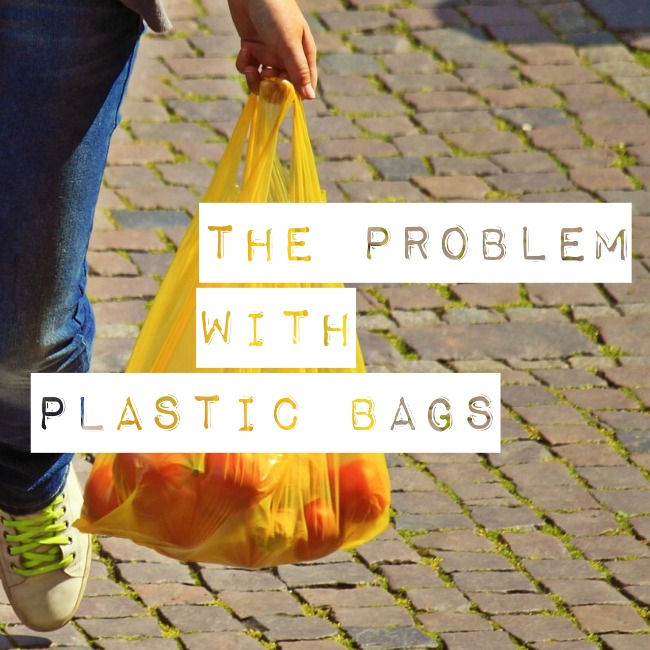 The Problem With Plastic Bags