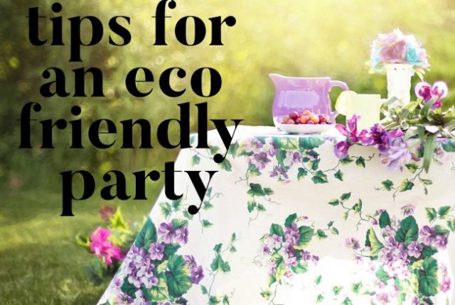 Tips for an Eco Friendly Party | I Spy Plum Pie