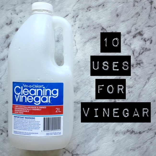 10 Uses for Vinegar | I Spy Plum Pie
