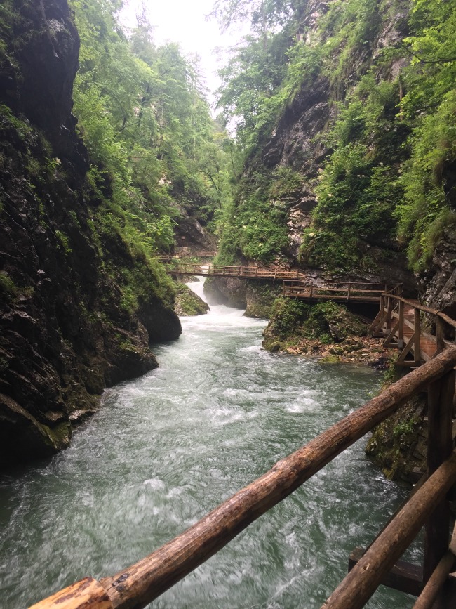 Slovenia Exploring: Vintgar Gorge & Lake Bohinj | I Spy Plum Pie
