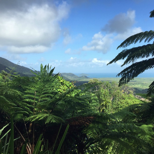 Holiday Adventures: A Week In Port Douglas
