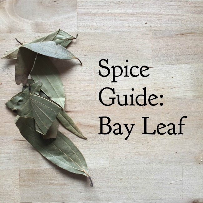 Spice Guide: Bay Leaf