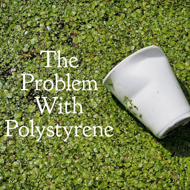 The Problem with Polystyrene | I Spy Plum Pie