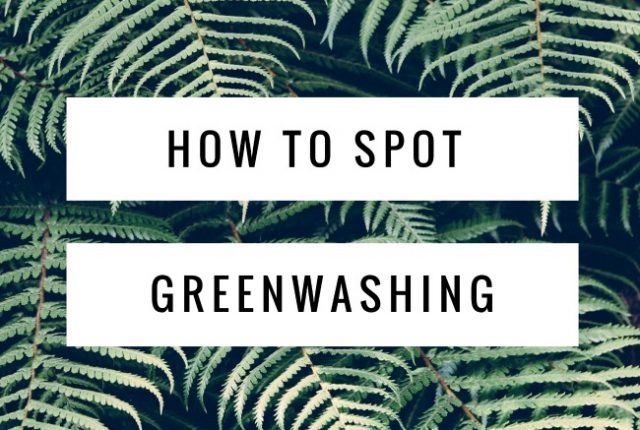 How to Spot Greenwashing | I Spy Plum Pie