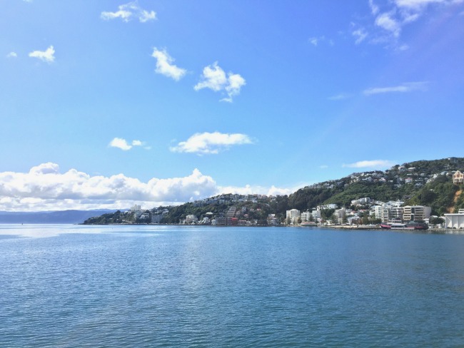 Wellington Exploring: Parliament, Cable Car and Sightseeing | I Spy Plum Pie