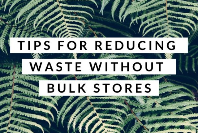 Tips for Reducing Waste Without Bulk Stores | I Spy Plum Pie