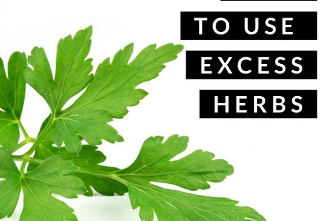 Tips to Use Excess Herbs | I Spy Plum Pie