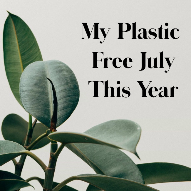 My Plastic Free July This Year | I Spy Plum Pie