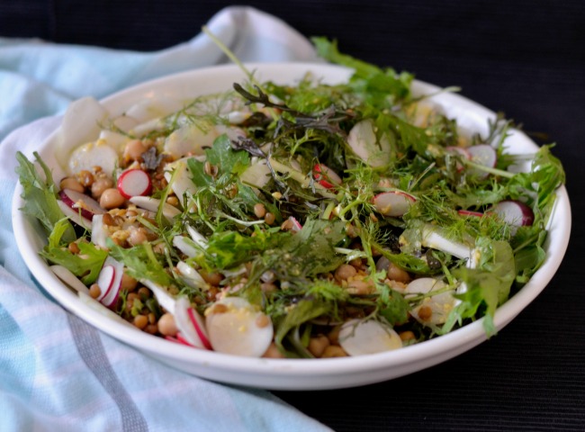 Lentil Chickpea Radish Salad | I Spy Plum Pie