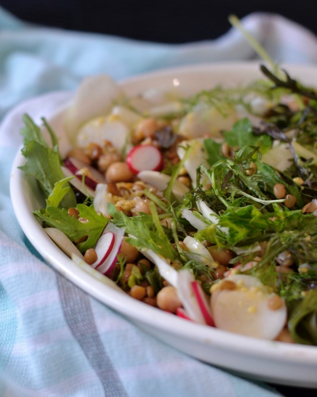 Lentil Chickpea Radish Salad | I Spy Plum Pie