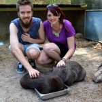 A Day at Healesville Sanctuary 