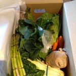 Veggie Box Challenge