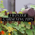 5 Winter Gardening Tips