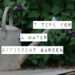 7 Tips for a Water Efficient Garden