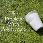 The Problem with Polystyrene