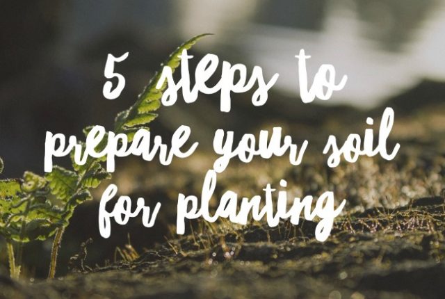 5 Steps to Prepare Your Soil for Planting | I Spy Plum Pie