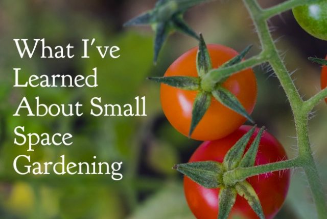 What I've Learned About Small Space Gardening | I Spy Plum Pie