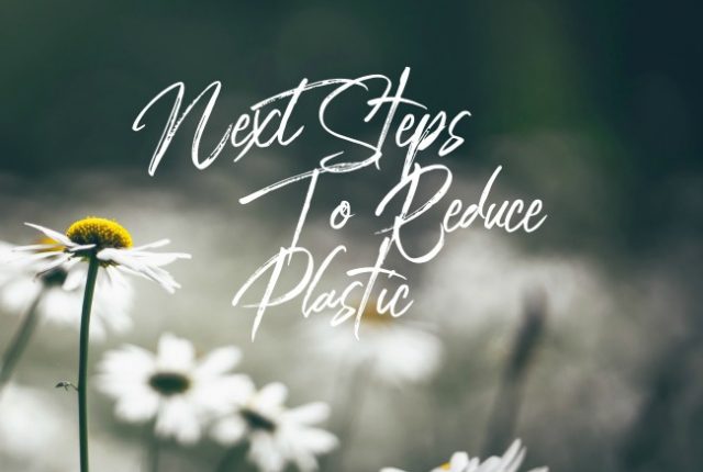 Next Steps to Reduce Plastic | I Spy Plum Pie