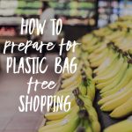 How To Prepare For Plastic Bag Free Shopping