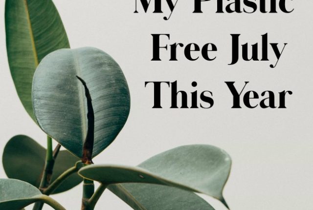 My Plastic Free July This Year | I Spy Plum Pie
