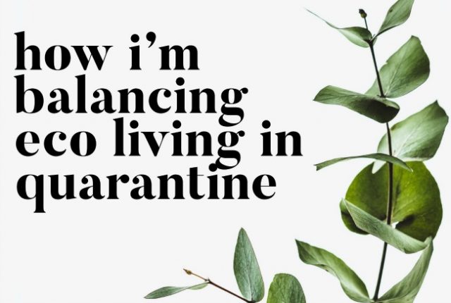 How I'm Balancing Eco Living In Quarantine | I Spy Plum Pie