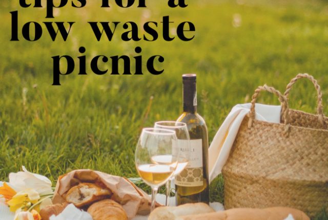Tips for a Low Waste Picnic | I Spy Plum Pie